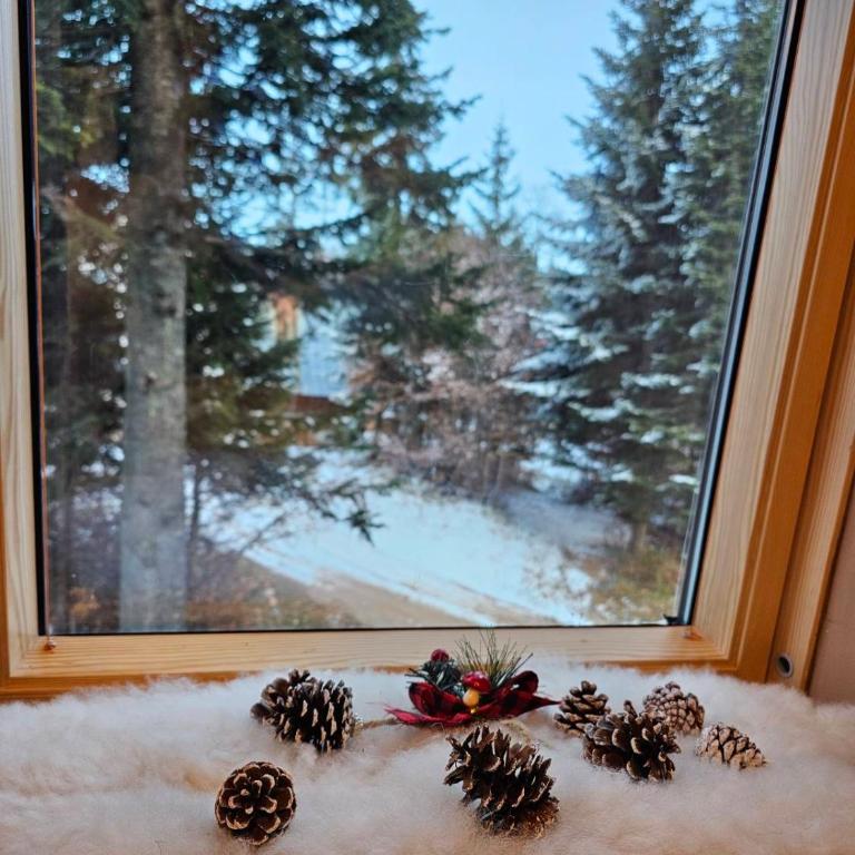 Apartman Sky light - Apartman sa 1 Spavaćom Sobom - 33