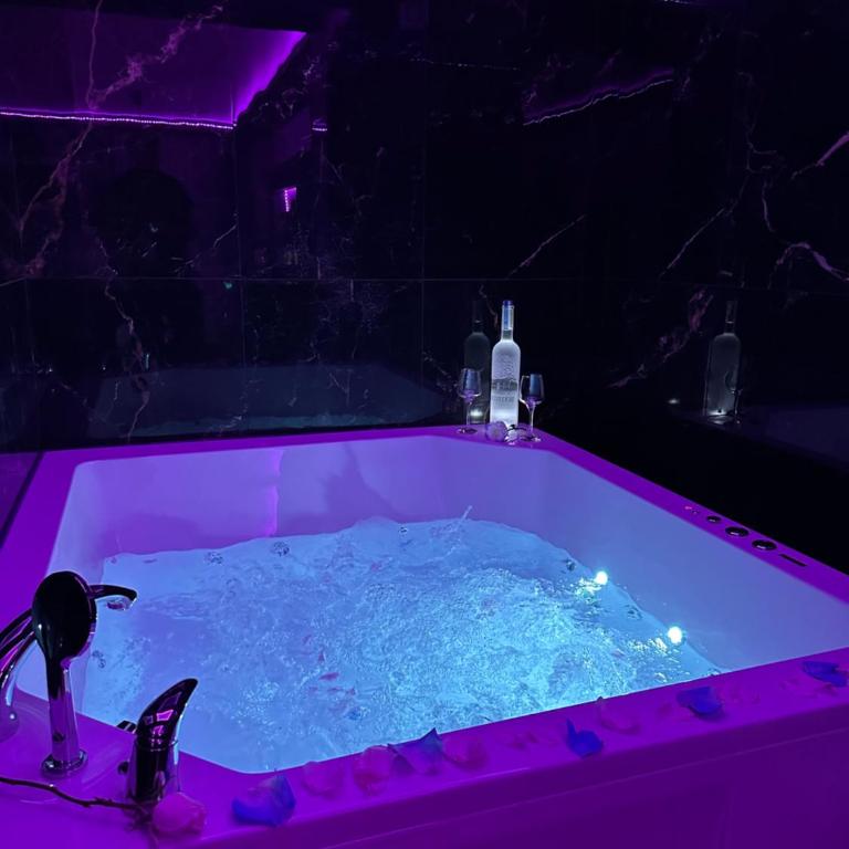 Spa stan na dan - Apartman sa 1 Spavaćom Sobom - 3