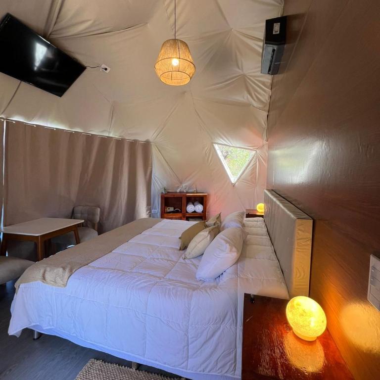 GLAMPING CACHI EL PARAISO DE NALA - Tent - 4