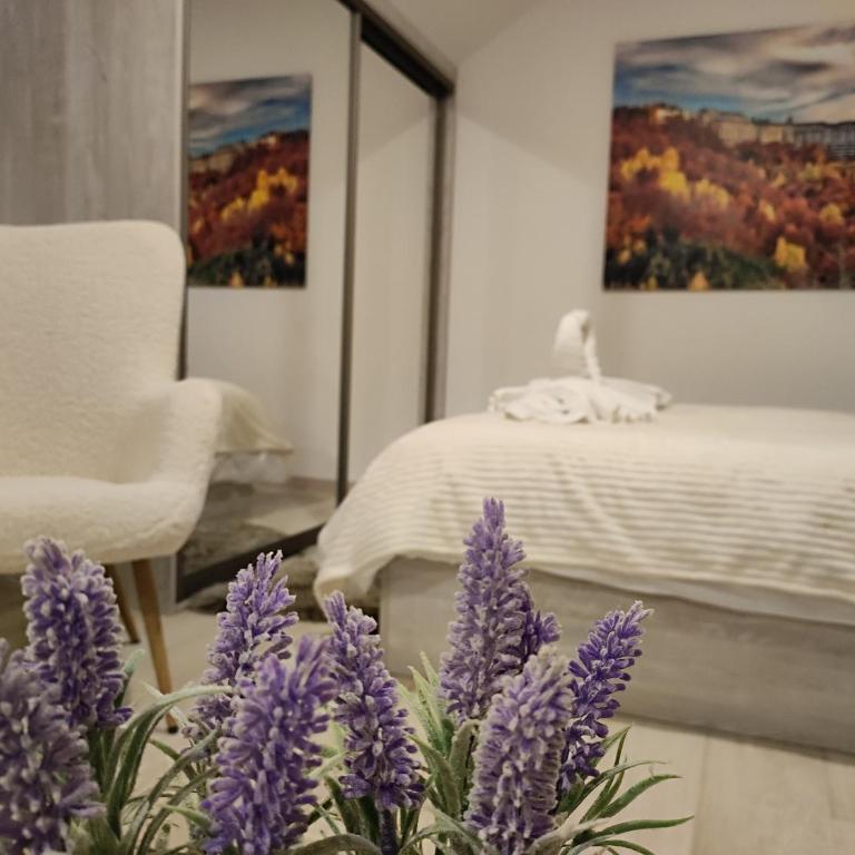 KOP P95 Milmari - Studio Apartment - 27