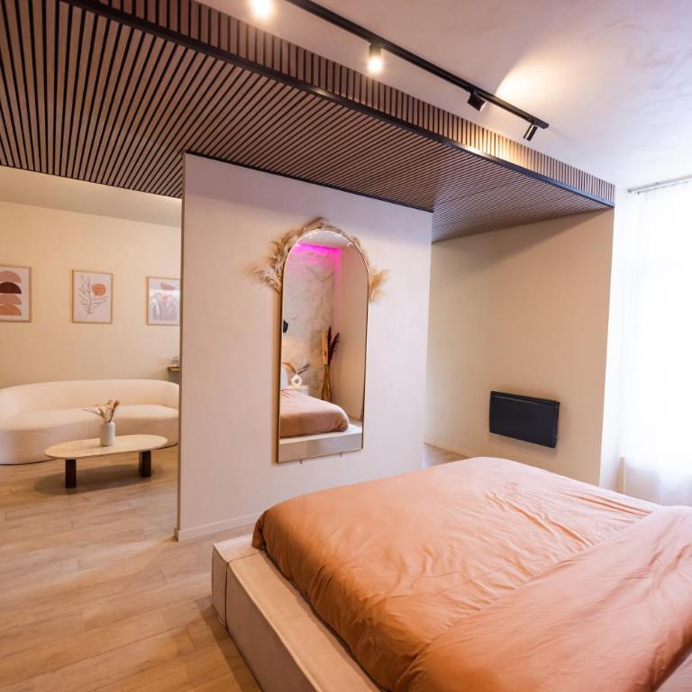 Harmony Room Suite avec Balnéo - Appartement 1 Chambre - 8