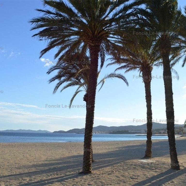 Studio cosy proche plage, Le Lavandou - FR-1-251-847 - Appartement - 14