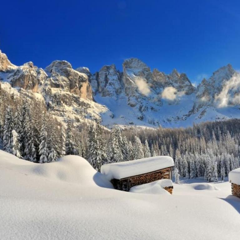 trilocale panorama val di fiemme - Appartamento con 2 Camere da Letto - 1