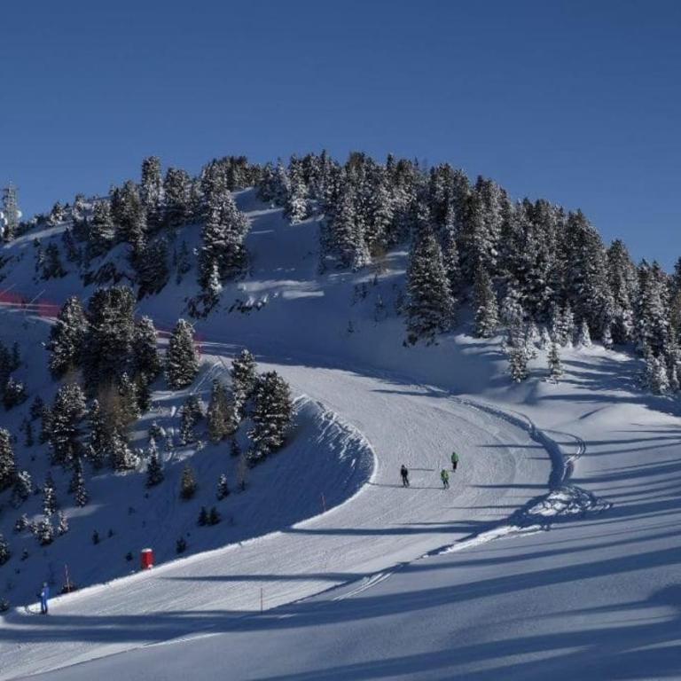 trilocale panorama val di fiemme - Appartamento con 2 Camere da Letto - 14