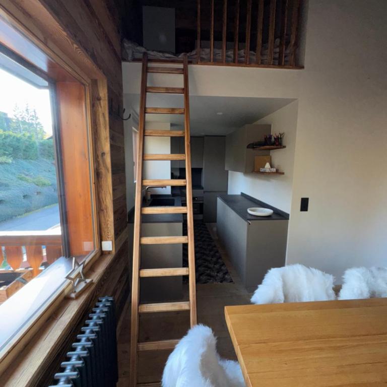 Duplex aux pieds des pistes à Rochebrune - Appartement - 26