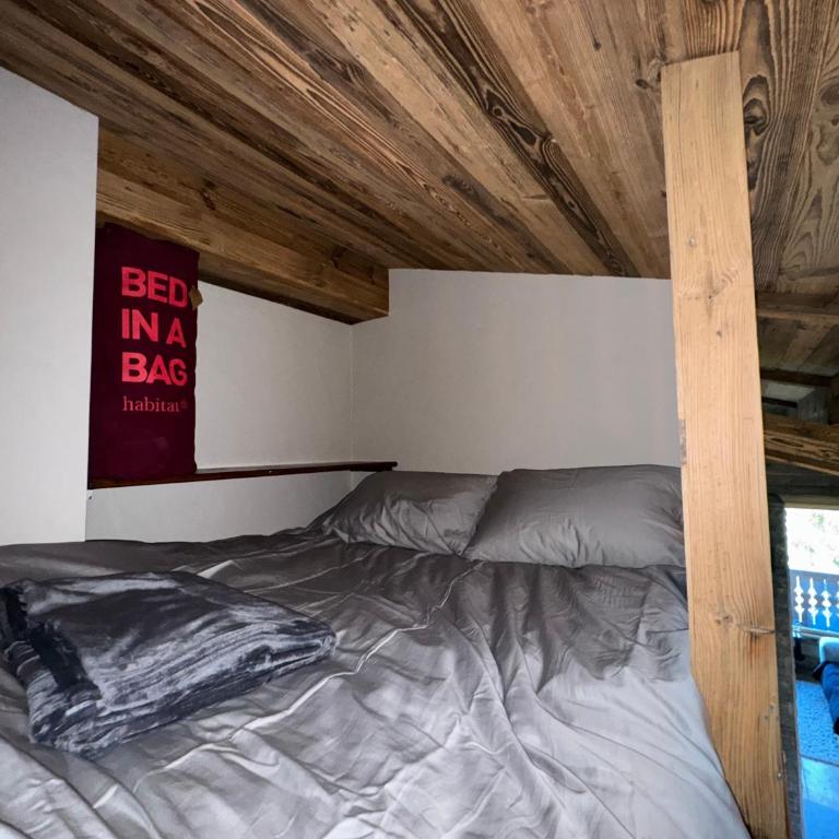 Duplex aux pieds des pistes à Rochebrune - Appartement - 28