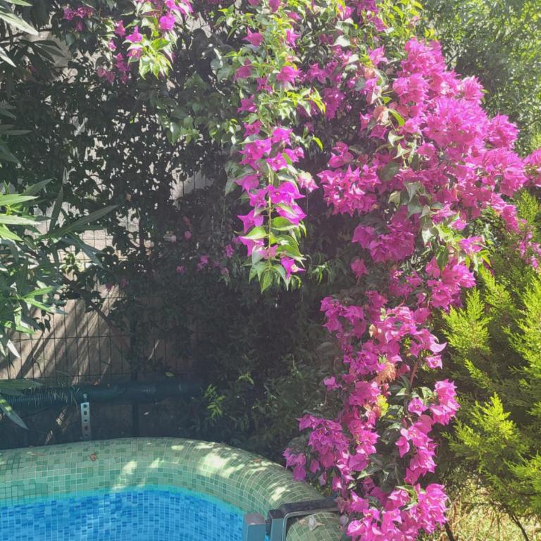 Apartments at Villa with swimming pool&parking - Apartman - 35