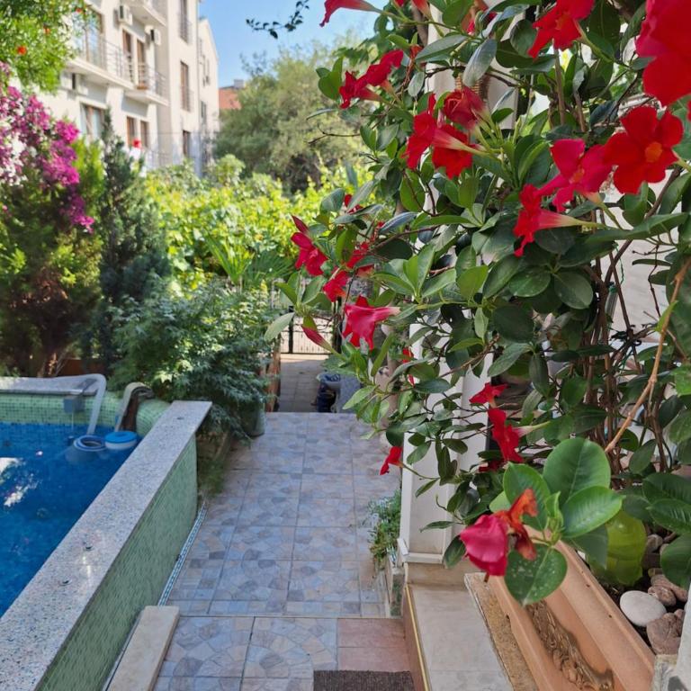 Apartments at Villa with swimming pool&parking - Apartman - 36