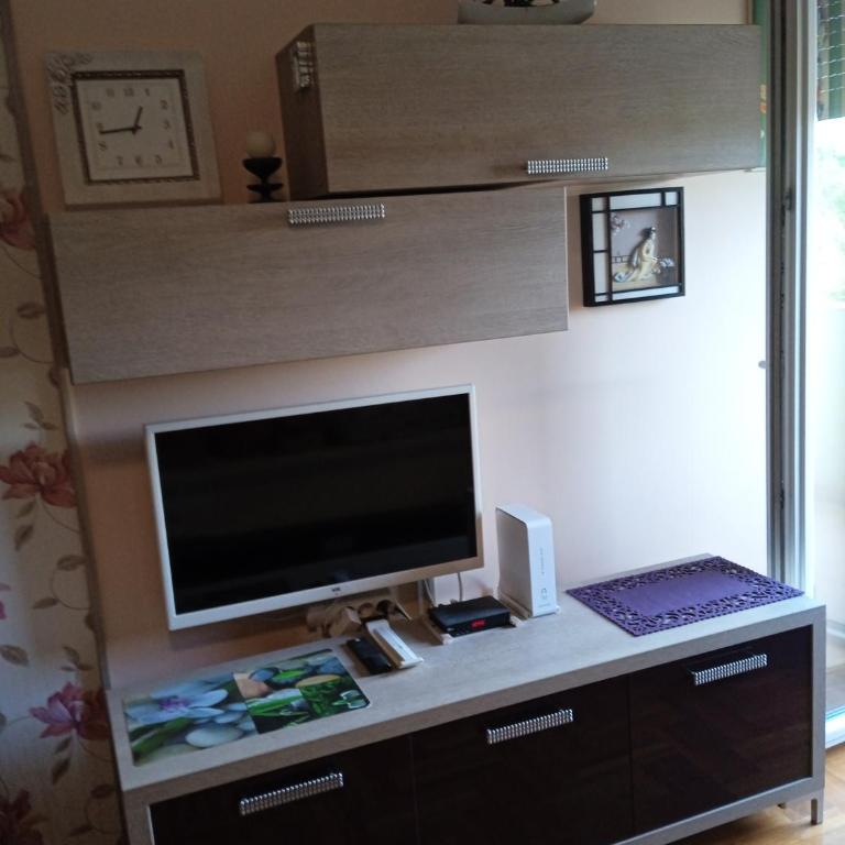 apartman Studenička - Apartman sa 1 Spavaćom Sobom - 4