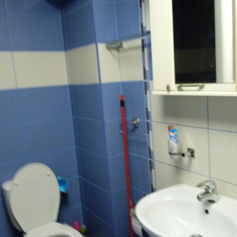 apartman Studenička - Apartman sa 1 Spavaćom Sobom - 7