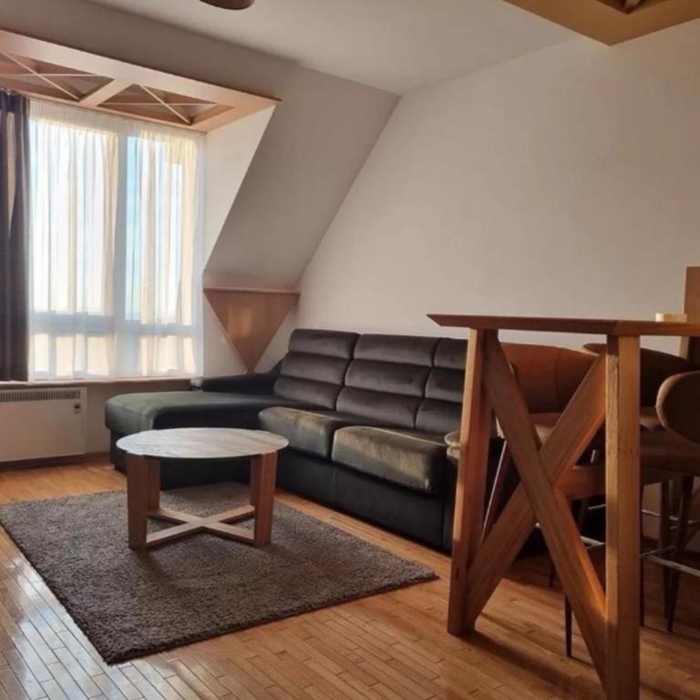 Kraljevi Cardaci, Kopaonik, Lux apartman 9C-71 - One-Bedroom Apartment - 22