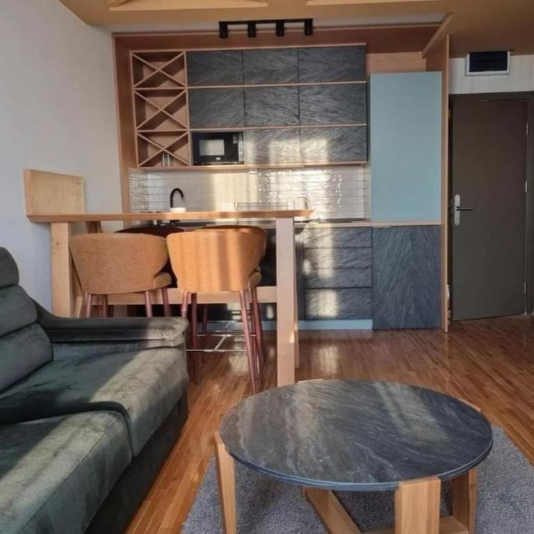 Kraljevi Cardaci, Kopaonik, Lux apartman 9C-71 - One-Bedroom Apartment - 20