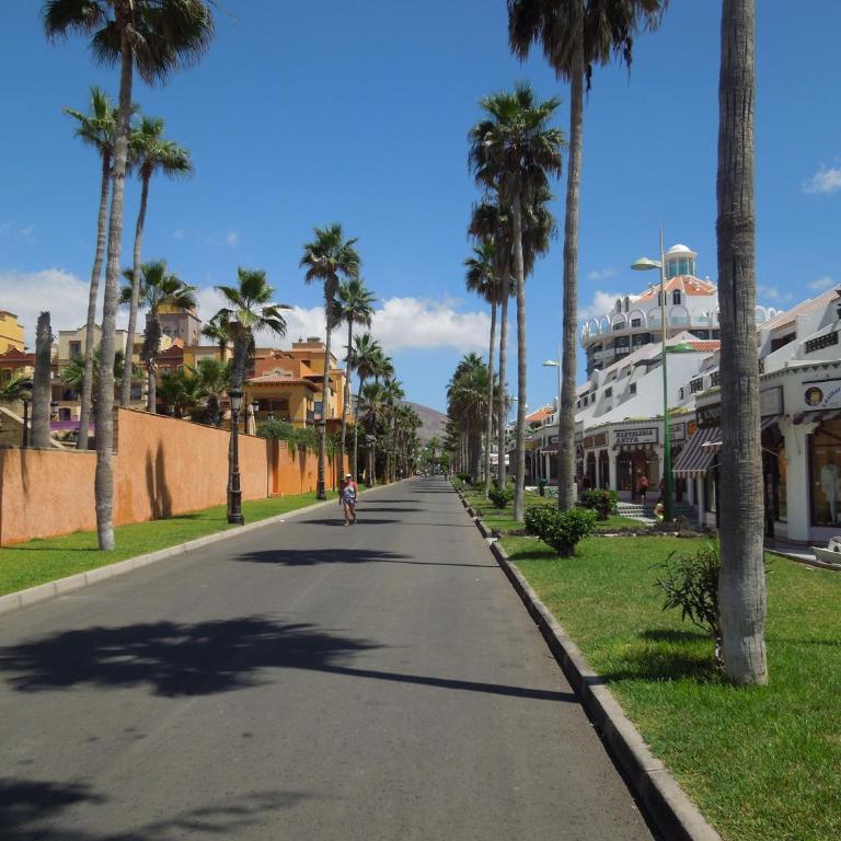 Ground floor apartment Casa Pico, Parque Santiago 1, heated pool, 100 m to sea and beach, wifi - Apartamento de 2 dormitorios - Frente al océano - 47