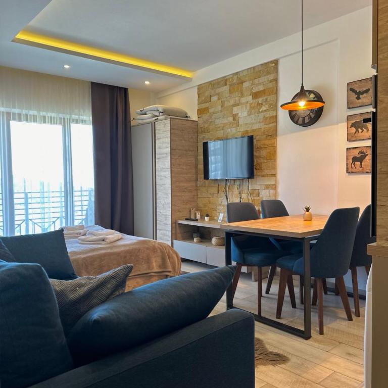 Ski & Spa Apartment S20 Milmari Resort Kopaonik - Studio with Mountain View - 8