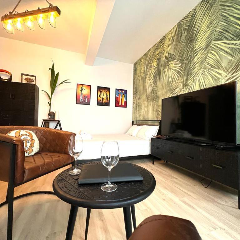 L'Ethnique - Hypercentre - Gare - Appartement 1 Chambre - 3