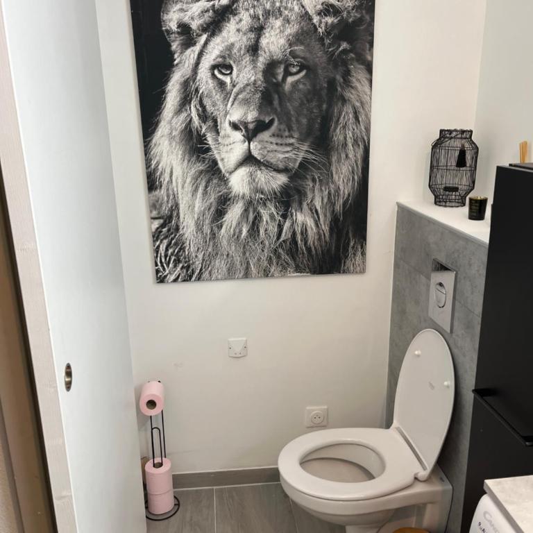 Suite Sanctuaire à Lourdes - Apartment mit 1 Schlafzimmer und Terrasse - 8