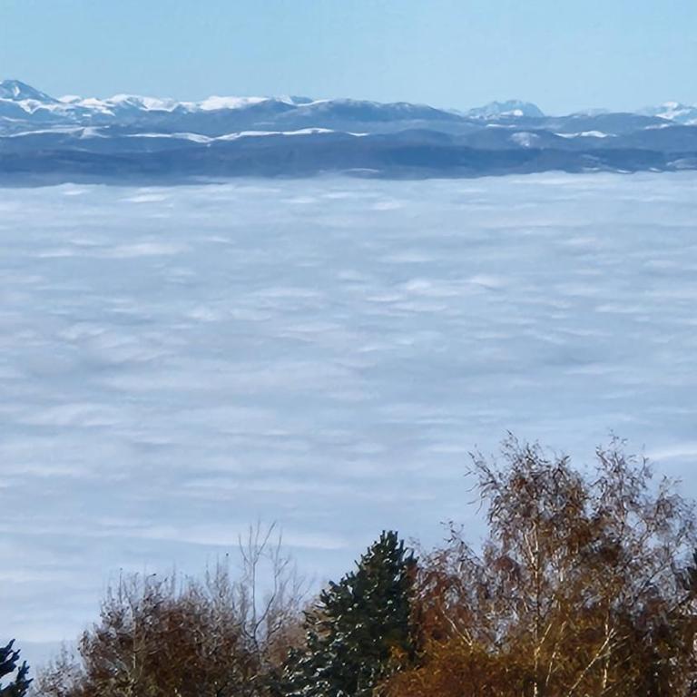 KOP P95 Milmari - Studio Apartment - 41