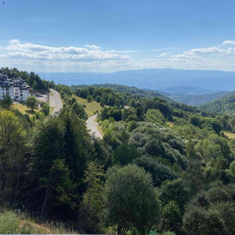 Ski & Spa Apartment N34 Milmari Resort Kopaonik - Studio with Mountain View - 90