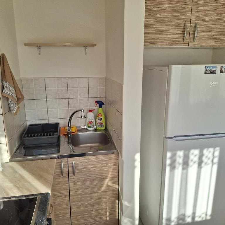 Apartman Veronika - Apartman sa 1 Spavaćom Sobom - 15