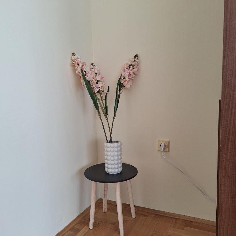 Apartman Veronika - Apartman sa 1 Spavaćom Sobom - 18