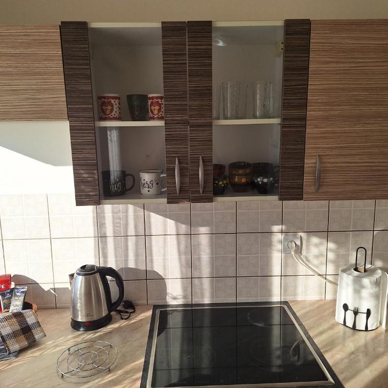 Apartman Veronika - Apartman sa 1 Spavaćom Sobom - 26