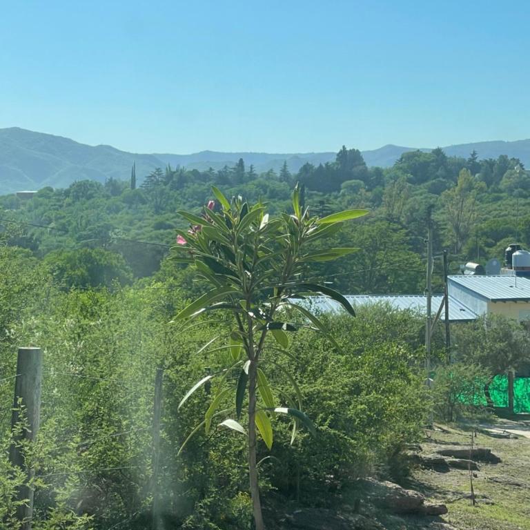 CHALET DE SIQUIMAN - Three-Bedroom Chalet - 10