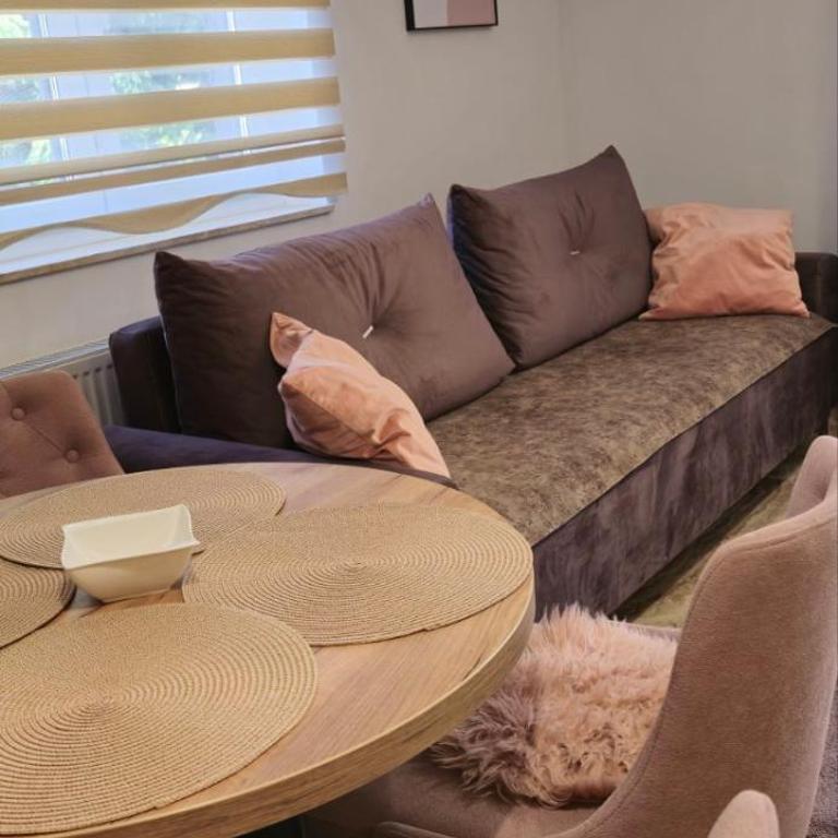 Аpatmani Zlatni Grozd - Apartman sa 1 Spavaćom Sobom - 4