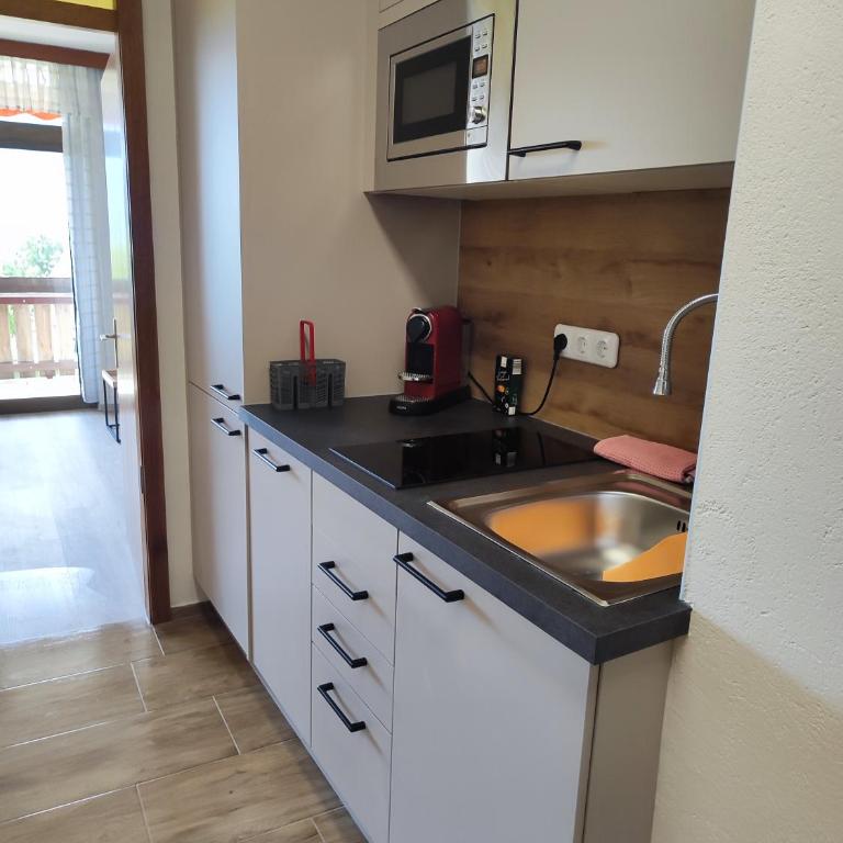 Ferienwohnung - Apartment Pichlarn Holiday Grimmingblick - Apartamento de 1 dormitorio - 4