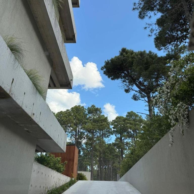 FORESTA Dpto - Apartamento de 2 dormitorios - 22