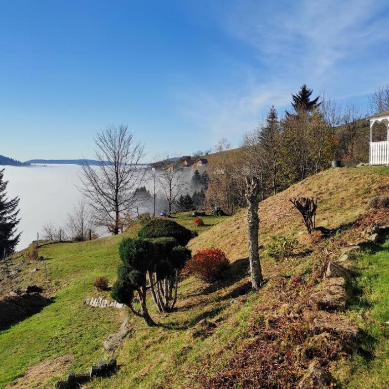 PARME Appt spacieux et calme plein sud, vue panoramique - Appartement - Rez-de-Chaussée - 28