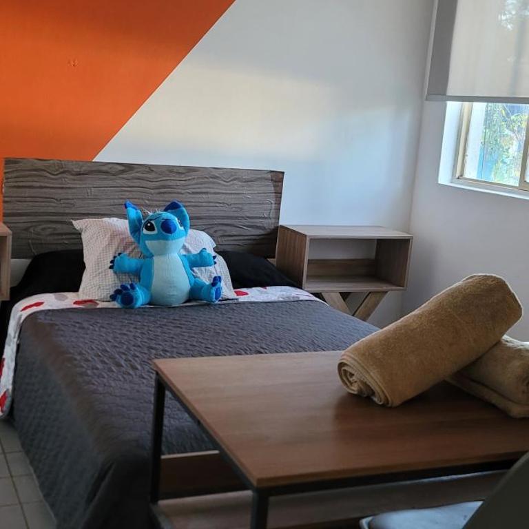 Depa vintage en Chapultepec - One-Bedroom Apartment - 7