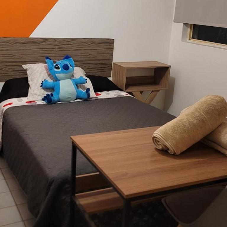 Depa vintage en Chapultepec - One-Bedroom Apartment - 9