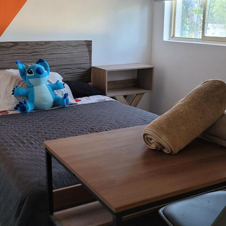 Depa vintage en Chapultepec - One-Bedroom Apartment - 1