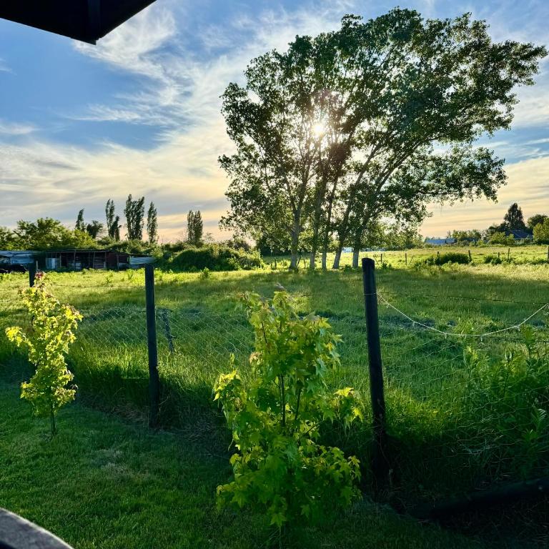 LETICE LODGE Chillán - Two-Bedroom House - 52