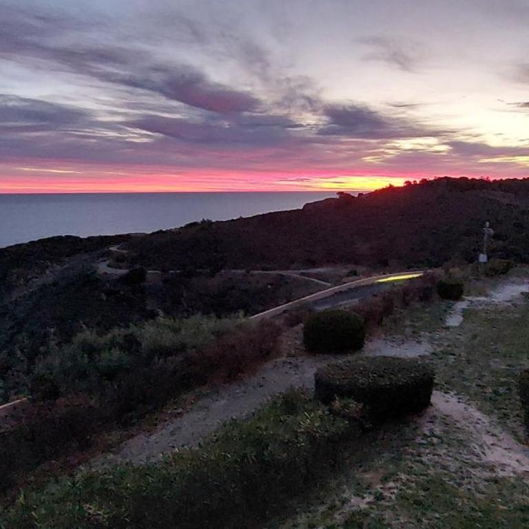 App T2 Climatisé-Vue Mer-Linge et ménage inclus - BANYULS SUR MER - Apartamento de 1 dormitorio - 4