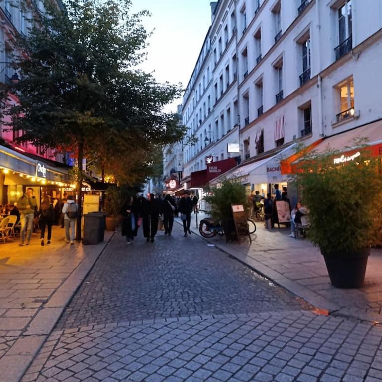 Flat 31m2 near Pompidou Center, Marais, les Halles, mobility lease only - Appartement 1 Chambre - 19