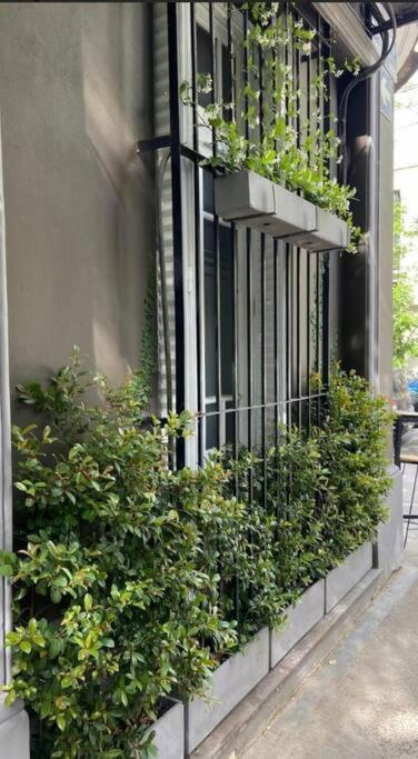 Le Petit Home en Almagro - One-Bedroom Apartment - 3