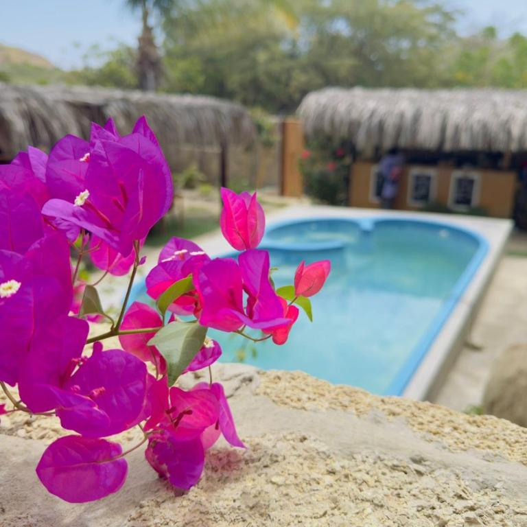 Panorama garden inn - Double or Twin Room with Garden View - 3