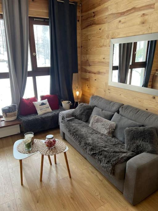 Studio front de neige pelevos - Appartement 1 Chambre - 3