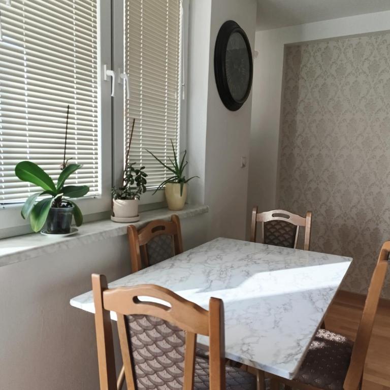 Stan Jovana - One-Bedroom Apartment - 28