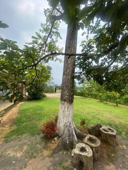 Finca Villa Rosita Guamal - Meta - Casa de 2 dormitorios - 25