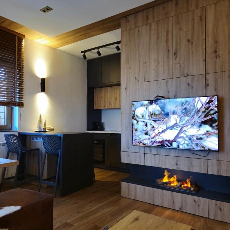 Jahorina Apartman Dvosjed B 10 - Apartman sa 2 Spavaće Sobe - 2