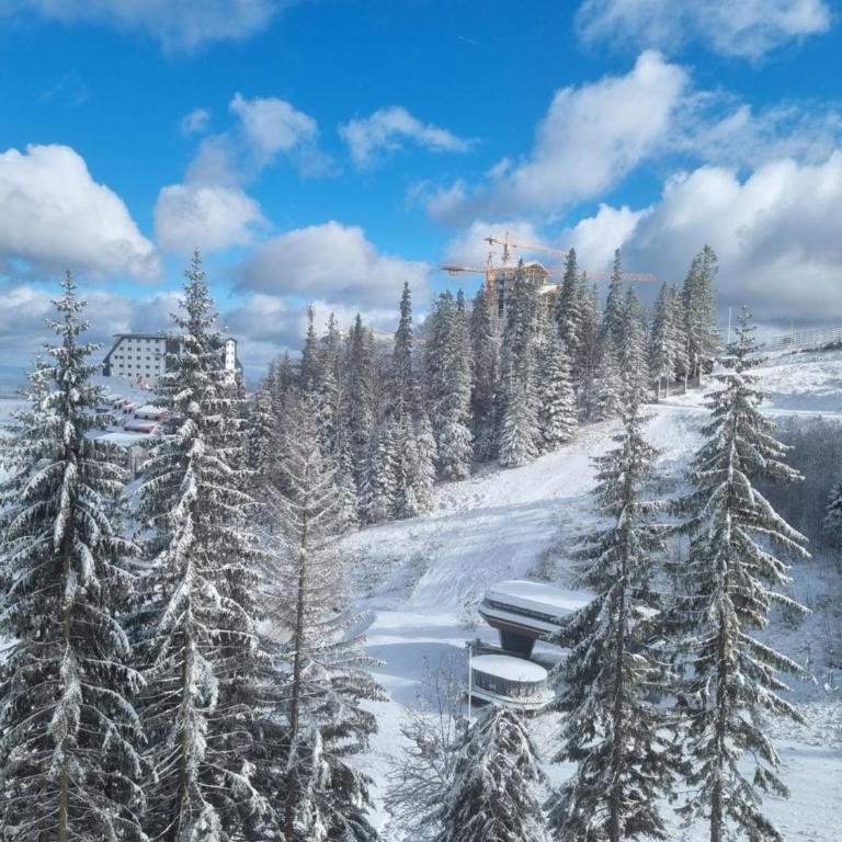 Jahorina Apartman Dvosjed B 10 - Apartman sa 2 Spavaće Sobe - 15