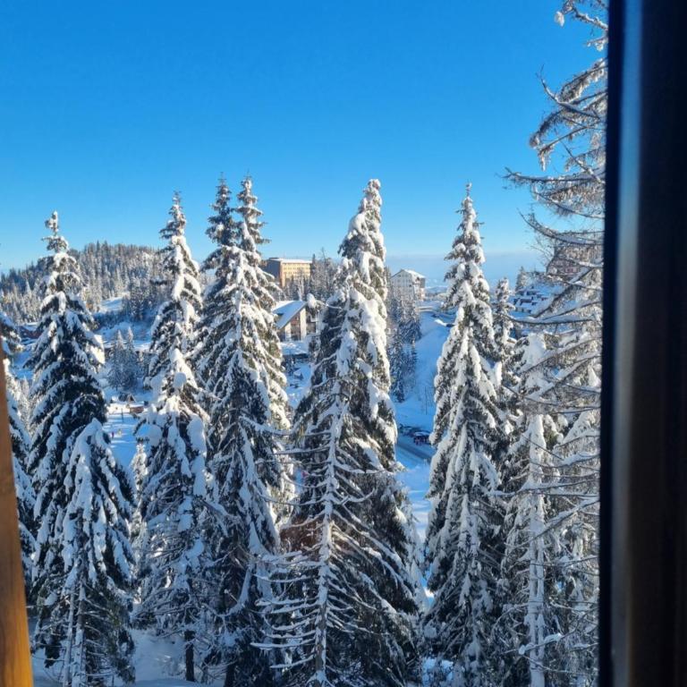 Jahorina Apartman Dvosjed B 10 - Apartman sa 2 Spavaće Sobe - 18