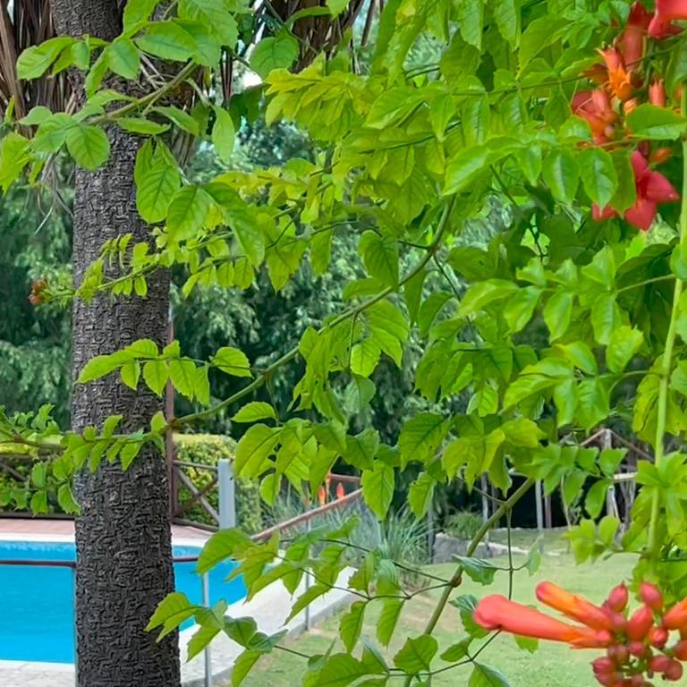 Las Magnolias - Casas de Campo - Casa de 2 dormitorios - 10