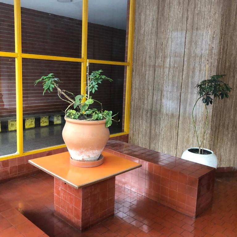 Jungle Apartment - Apartamento de 1 dormitorio - 39
