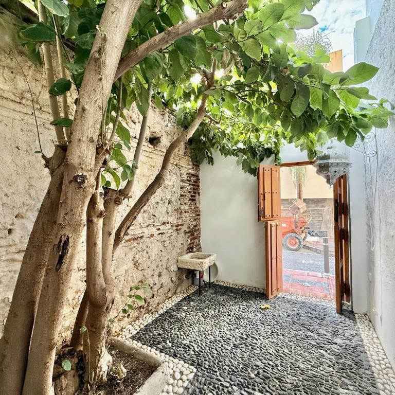 Casa BoHa - Andalusië - Casa de 2 dormitorios - 7