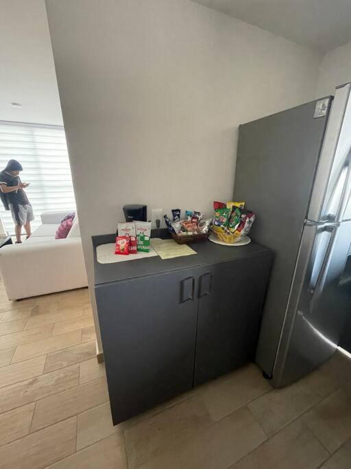 Departamento excelente ubicación en la CDMX, cerca del Aeropuerto AICM, Estadio GNP, Autódromo, Palacio de los deportes - Two-Bedroom Apartment - 59