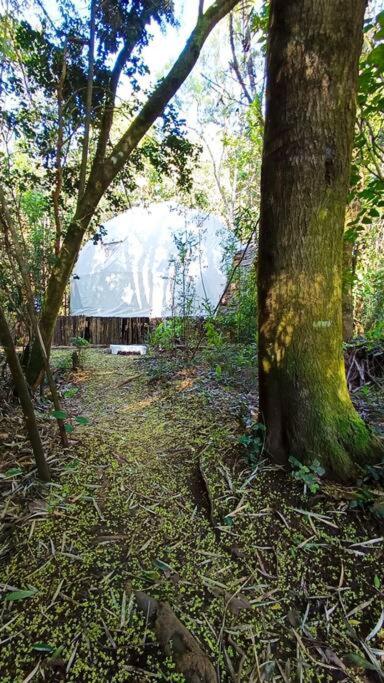 Domo el avellano inmerso en el bosque con tinaja incluida - Casa de 2 dormitorios - 5