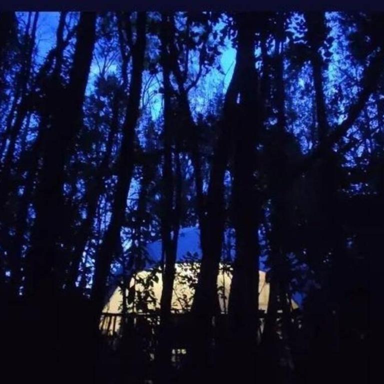 Domo el avellano inmerso en el bosque con tinaja incluida - Casa de 2 dormitorios - 9